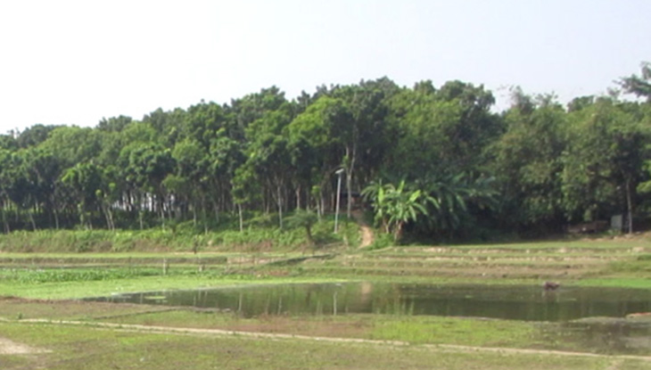 ঝিনাইদহে বিএসএফের ধাওয়ায় নদীতে ডুবে যুবকের মৃত্যু