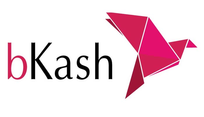 নগরীতে বিকাশ একাউন্ট হ্যাক করে টাকা আত্মসাৎ : গ্রেফতার ১