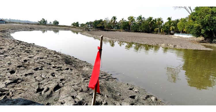 বাগেরহাটে ৮৩টি খাল খননের অন্তরায় মাছ চাষি ও প্রভাবশালী মহল