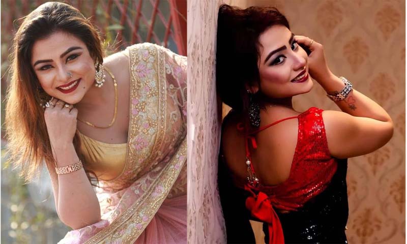 তানিনের অন্তরঙ্গ ছবি প্রকাশ, বিব্রত শিল্পী সমিতি, বনভোজনের পর সিদ্ধান্ত