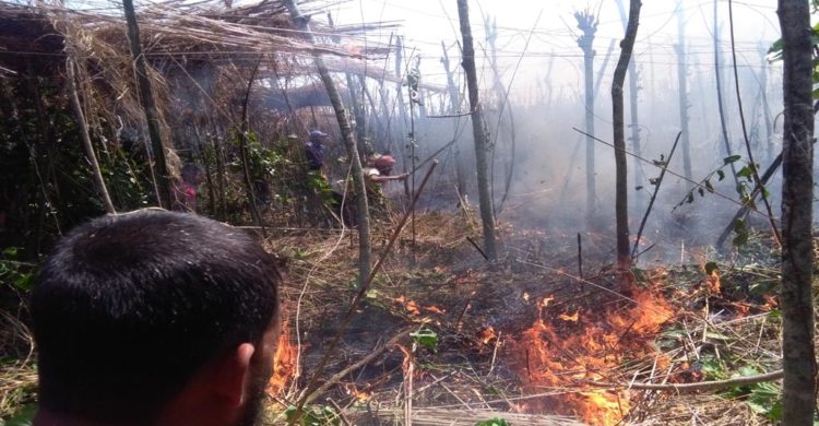 কালীগঞ্জে জ্বলছে আগুন পুড়ছে ১০ কৃষকের স্বপ্ন : কৃষক অজ্ঞান