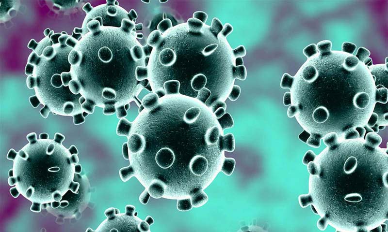 ইতালি ফেরত জামাইকে আইসোলেশন, শ্বশুরকে জরিমানা