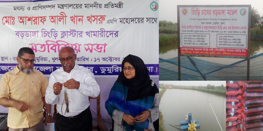 খুলনায় ক্লাস্টার পদ্ধতিতে চিংড়ি চাষে নতুন কর্মসংস্থান সৃষ্টির দ্বার উন্মোচিত