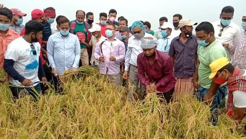 কিশোরগঞ্জে ধান কাটতে কৃষকের পাশে সংসদ সদস্য তনয় রেজওয়ান