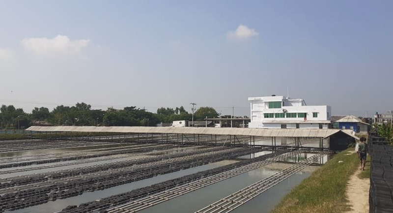 ম্যানেজারের ভুলে অ্যাগ্রো ফার্মে বকেয়া, বিব্রত সাকিব