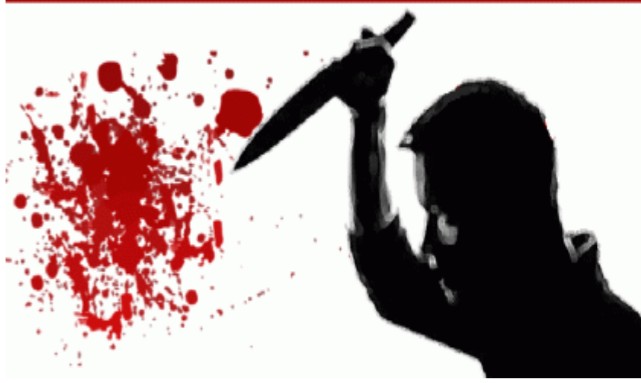 মাগুরার ধলহরা মোল্লা পাড়ায় মধুরচাক কাটাকে কেন্দ্র করে সংঘর্ষ