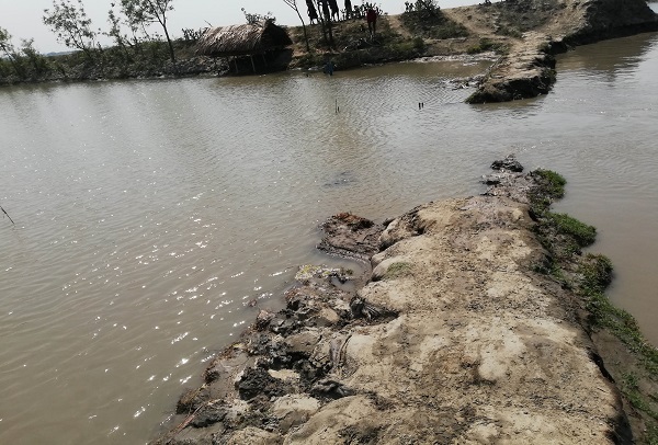 তালায় টিআরএম’র বাঁধ ভেঙ্গে নিম্নাঞ্চল প্লাবিত, স্বেচ্ছশ্রমে মেরামতের চেষ্টা