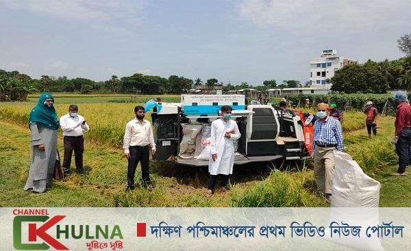 তালায় মেশিন দিয়ে ধান কাটা উৎসব উদ্বোধন
