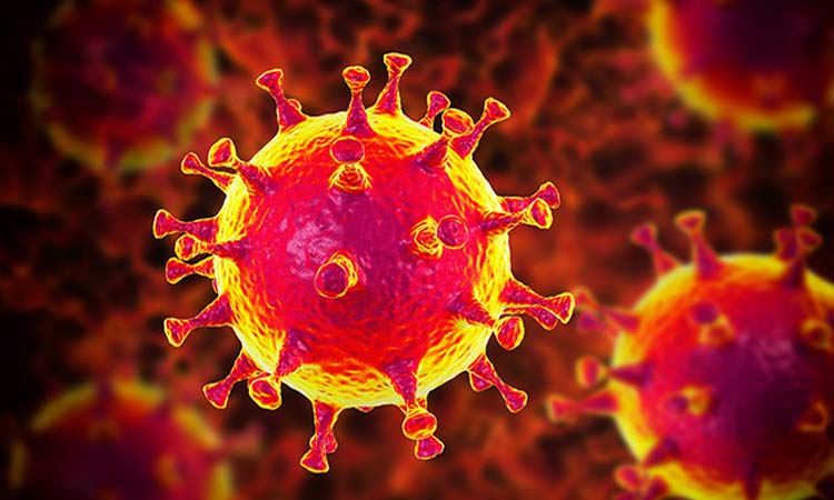 নমুনা পরীক্ষায় মাগুরায় দুই করোনা রোগী শনাক্ত