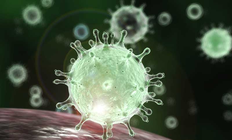 উচ্চ তাপমাত্রাতেও এখন টিকে থাকছে করোনাভাইরাস