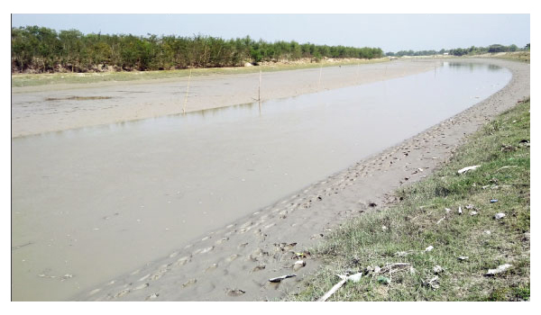 ৪৬ কোটি টাকা ব্যয়ে পুনঃখননের এক বছরেই ফের ভরাট ডুমুরিয়ার ভদ্রা ও শালতা নদী