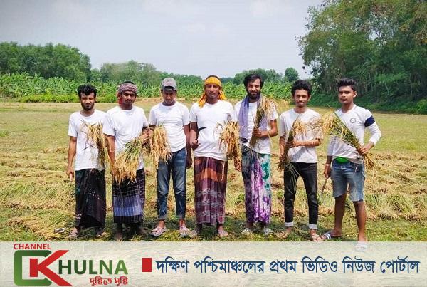 কৃষকের ধান কেটে দিলো মাগুরার পৌর ছাত্রদল নেতা কাজী হাসীব হাসান রাসু