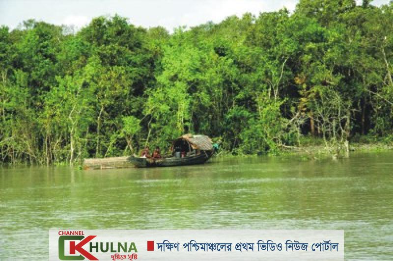 মালামাল লুটে ১৩ জেলেকে বাঘ-কুমিরের মুখে ছেড়ে দেয় বনরক্ষীরা!