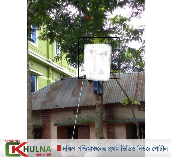 মাগুরার শ্রীপুরে আম পাড়তে গিয়ে বিদ্যুৎস্পৃষ্ট হয়ে  যুবকের মৃত্যু