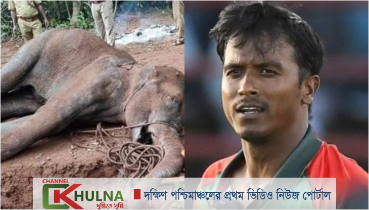 হাতি হত্যায় রুবেলের আবেগঘন স্ট্যাটাস