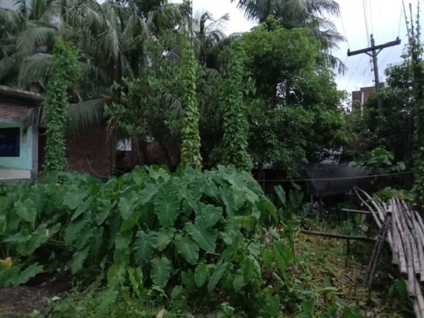 অর্থের অভাবে চুলকাঠি প্রেস ক্লাবের নির্মানাধীন ভবনের অংশ নষ্ট হতে বসেছে ; প্রয়োজন আশু আর্থিক সহায়তা