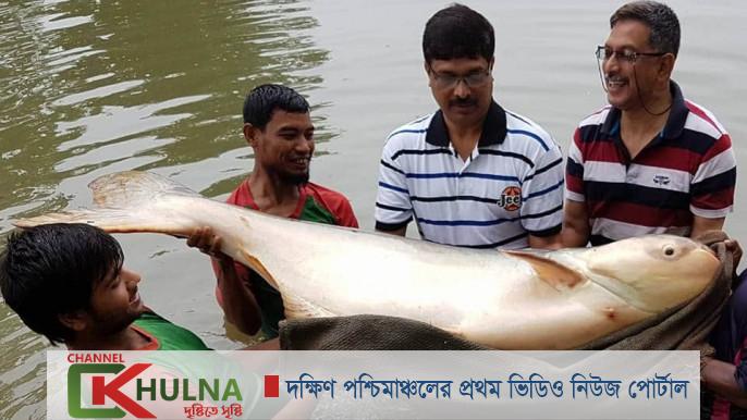 মাছ চাষে শীর্ষে থেকেও রপ্তানিতে পিছিয়ে বাংলাদেশ