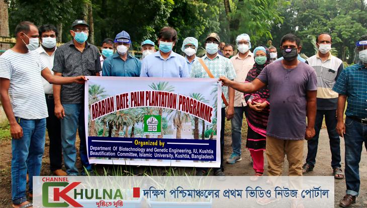 ইবিতে অ্যারাবিয়ান খেজুর বাগানের উদ্বোধন