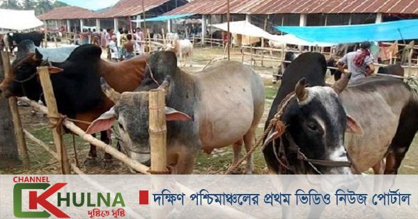 এখনও জমে ওঠেনি খুলনার পশুর হাট