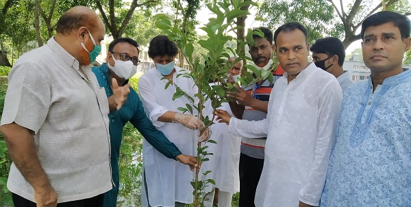 মুজিব শতবর্ষ উপলক্ষে মোড়েলগঞ্জ তাঁতীলীগের উদ্যোগে বৃক্ষ রোপন