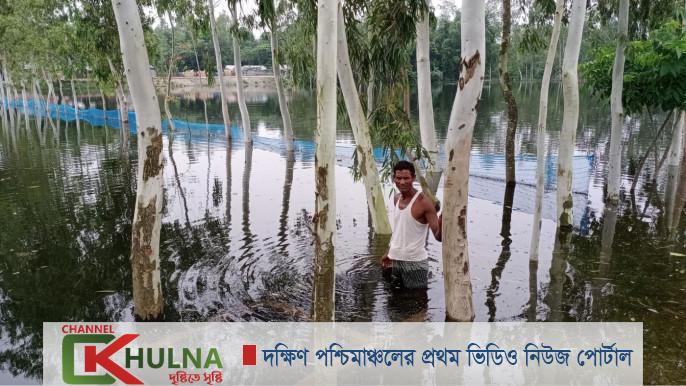 বন্যায় প্রায় ২ কোটি টাকার ক্ষতি কুড়িগ্রামের মাছচাষীদের