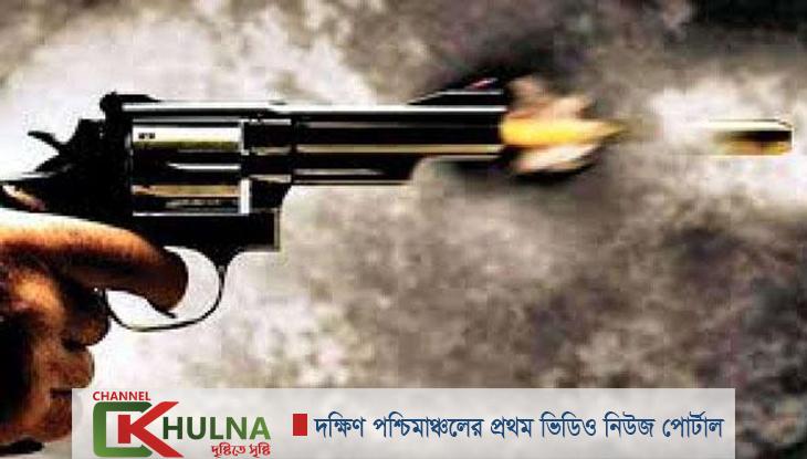 ভাইকে গুলি করে মারল ভাই