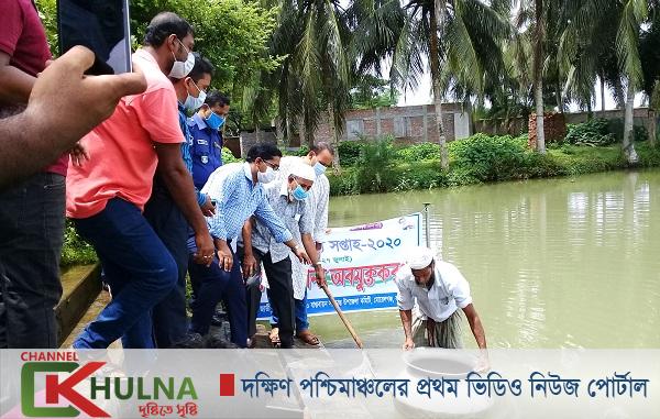 জাতীয় মৎস্য সপ্তাহ উপলক্ষে মোড়েলগঞ্জে মাছের পোনা অবমুক্তকরণ