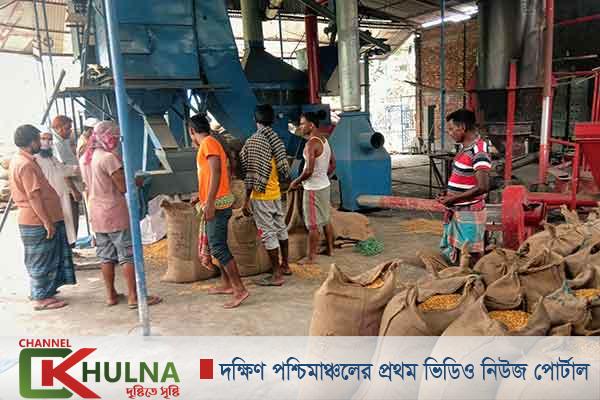 আলোড়ন সৃষ্টি করেছে হাবিপ্রবি শিক্ষকের উদ্ভাবিত গ্রেইন ড্রায়ার