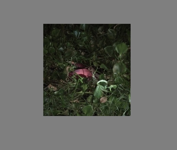 নিখোঁজের চারদিন পর খুলনায় কিশোরের লাশ উদ্ধার, পরিকল্পিত হত্যাকান্ড বলছে পুলিশ