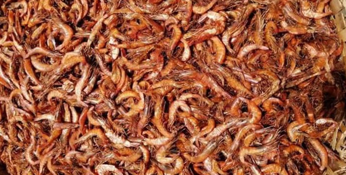 সুন্দরবনে বিষ দিয়ে আহরিত ১৫ মণ শুঁটকি চিংড়ি উদ্ধার