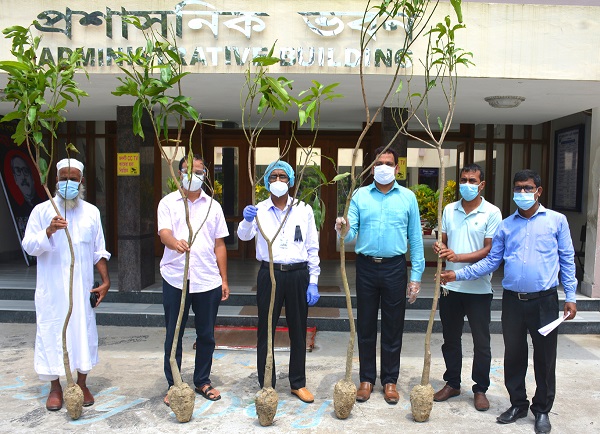 জনতা ব্যাংক এর পক্ষ থেকে কুয়েটে গাছের চারা প্রদান