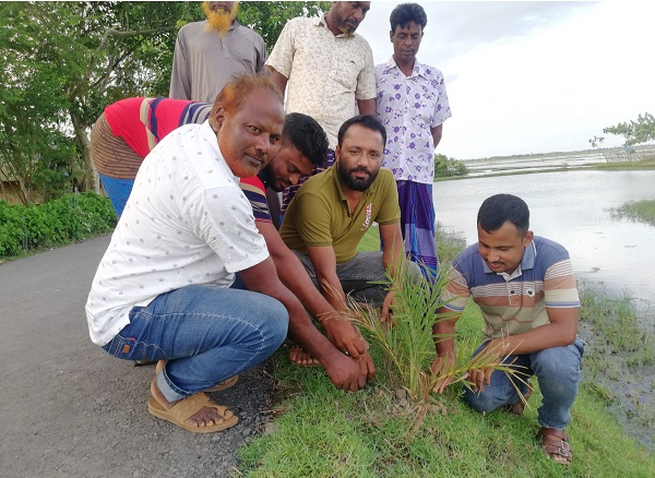 কয়রায় বাংলাদেশ কৃষি গবেষণা ইনস্টিটিউটের উদ্যোগে খেজুর, নারিকেল ও তালের চারা রোপন