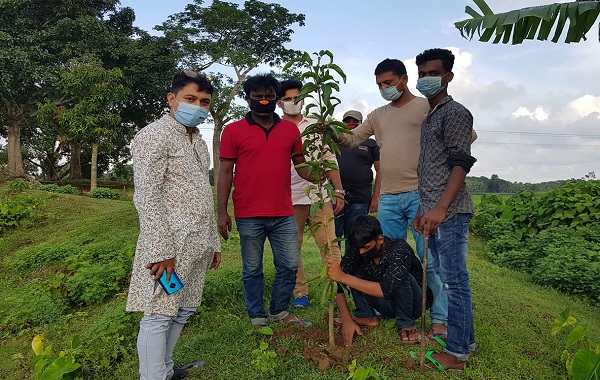 তালায় পাঠক ফোরামের উদ্যোগে বৃক্ষরোপন