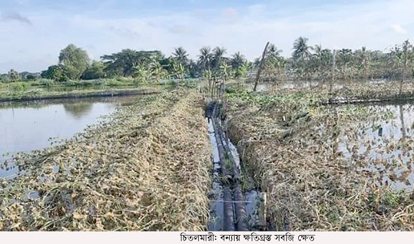 চিতলমারীতে বন্যা ও অতি বৃষ্টিতে ক্ষতি প্রায় ৩৭ কোটি টাকা