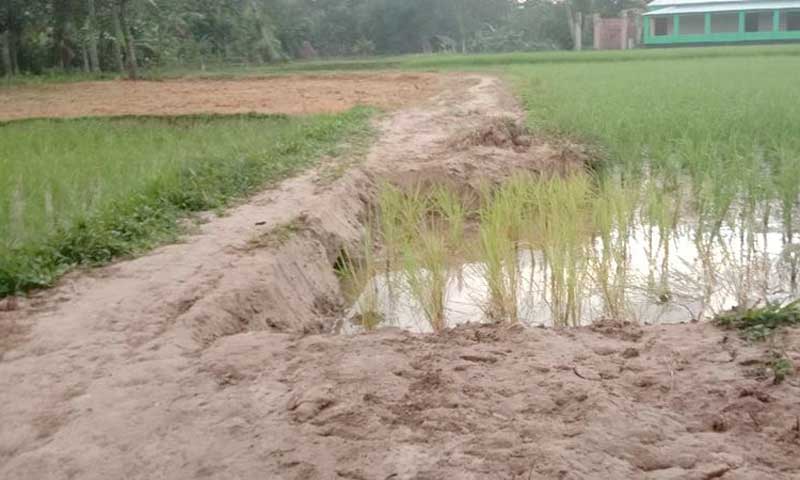 ভালুকায় সরকারি রাস্তা কেটে দখলের অভিযোগ