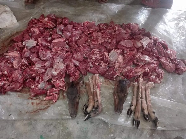 সুন্দরবন থেকে ৪২ কেজি হরিণের মাংস জব্দ