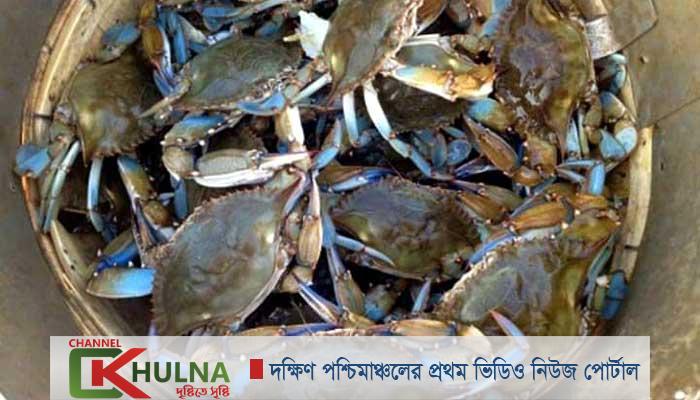 সুন্দরবনে অবৈধভাবে কাঁকড়া ধরার অপরাধে ২ জেলে আটক