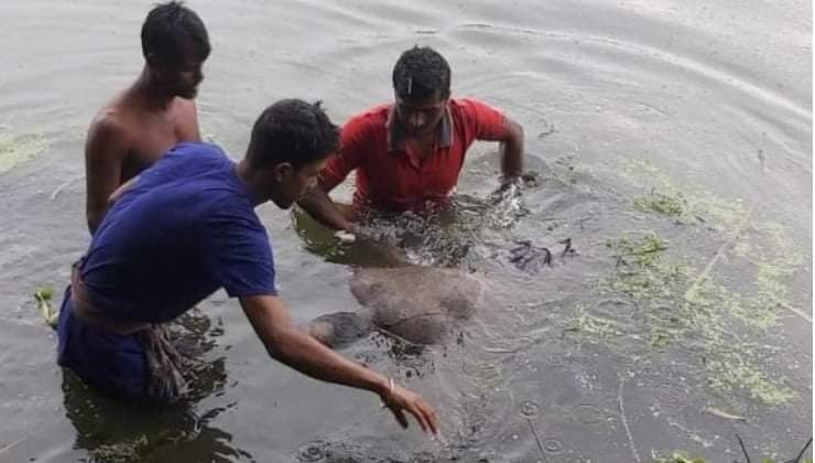 মাগুরার শালিখায় নিখোঁজের একদিন পর মানসিক ভারসম্যহীন ব্যাক্তির মরদেহ উদ্ধার