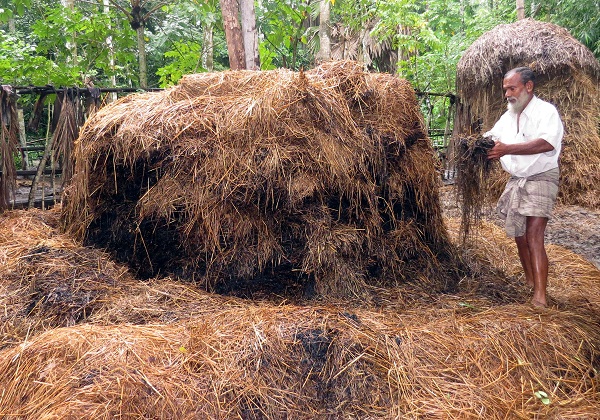 মোড়েলগঞ্জে গরুর খাদ্যে দুর্বৃত্তদের আগুন, অভিযোগ দায়ের