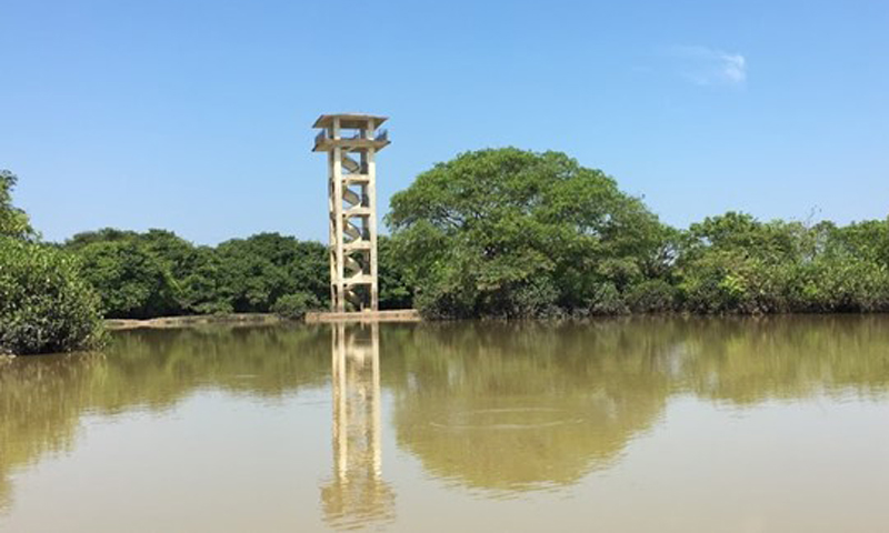 রাতারগুল ওয়াচ টাওয়ার ঝুঁকিপূর্ণ ঘোষণা