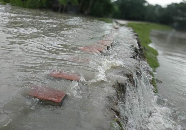 মোরেলগঞ্জে নিম্নঅঞ্চল প্লাবিত; ৫ হাজার মৎস্য ঘের ও পুকুর তলিয়ে মাছ ভেসে গেছে