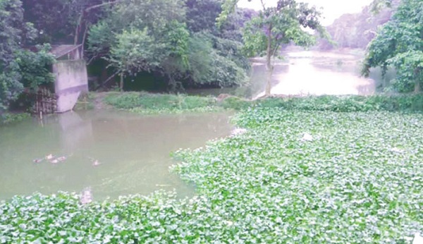 বেতনা-মরিচ্চাপ নদী খনন প্রকল্পে টিআরএম অন্তর্ভুক্তির দাবি জনগণের