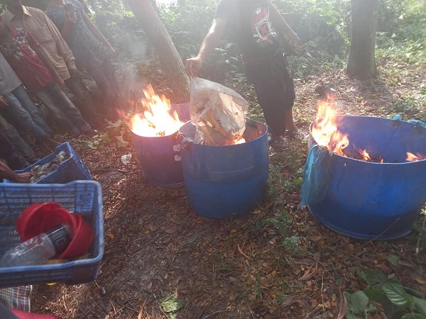 মোল্লাহাটে জেলি পুশ করা সাড়েতিন মণ  চিংড়ি মাছ ধ্বংশ করেছে মোবাইল কোর্ট