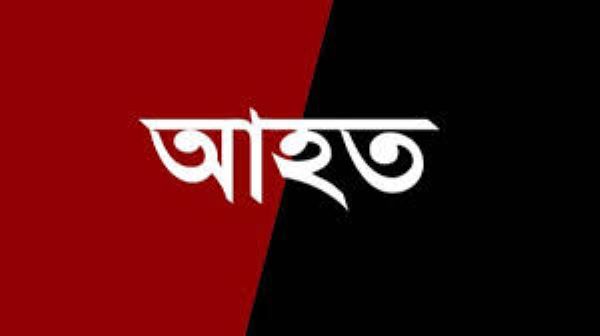 সাতক্ষীরার কলারোয়ায় ইউপি নির্বাচনী সহিংসতায় নৌকার প্রার্থীসহ আহত- ৯