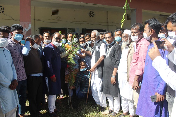 মোল্লাহাটে যুবলীগের প্রতিষ্ঠা বার্ষিকী পালনে দোয়া ও বৃক্ষ রোপন অনুষ্ঠিত