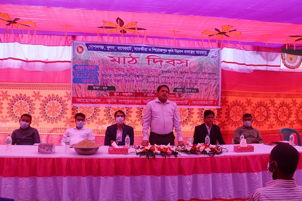 মোল্লাহাটে কৃষক মাঠ দিবস অনুষ্ঠিত