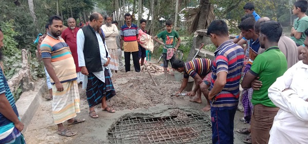 মোল্লাহাটে জনগুরুত্বপূর্ণ কালভার্ট মেরামত করলেন আ’লীগ নেতা হেদায়েত