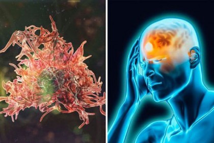 করোনার মাঝেই মগজ খেকো অ্যামিবার উৎপাত, দিশেহারা হয়ে সতর্কতা জারি আমেরিকার