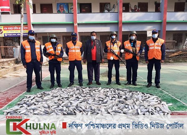 কাউখালীতে ৮ মণ জাটকা ইলিশ জব্দ