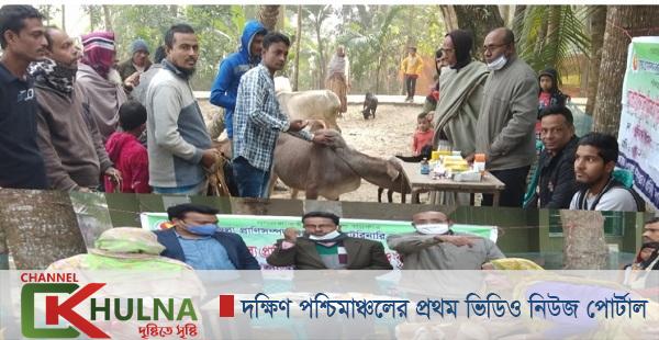 পাইকগাছায় গদাইপুরে বিনামূল্যে গবাদীপ্রাণির  চিকিৎসা সেবা ক্যাম্প অনুষ্ঠিত